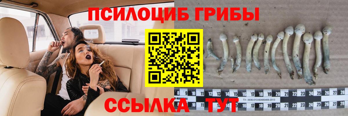 Галлюциногенные грибы MAGIC MUSHROOMS Прокопьевск